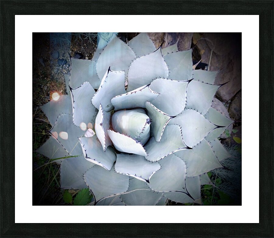 V06 Picture Frame print