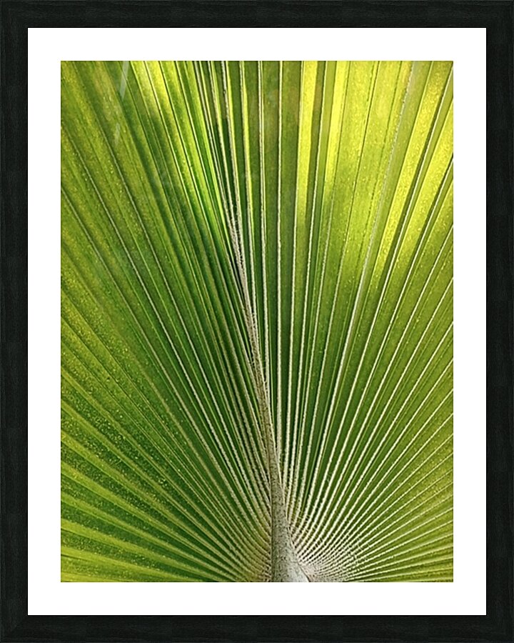 V08 Picture Frame print