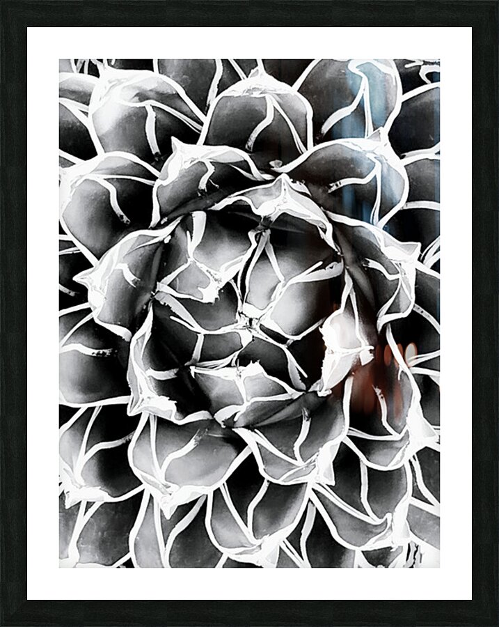 V10 Picture Frame print