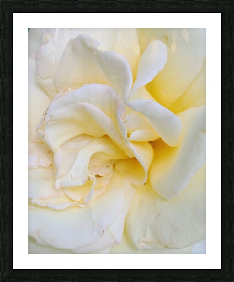 V11 Picture Frame print