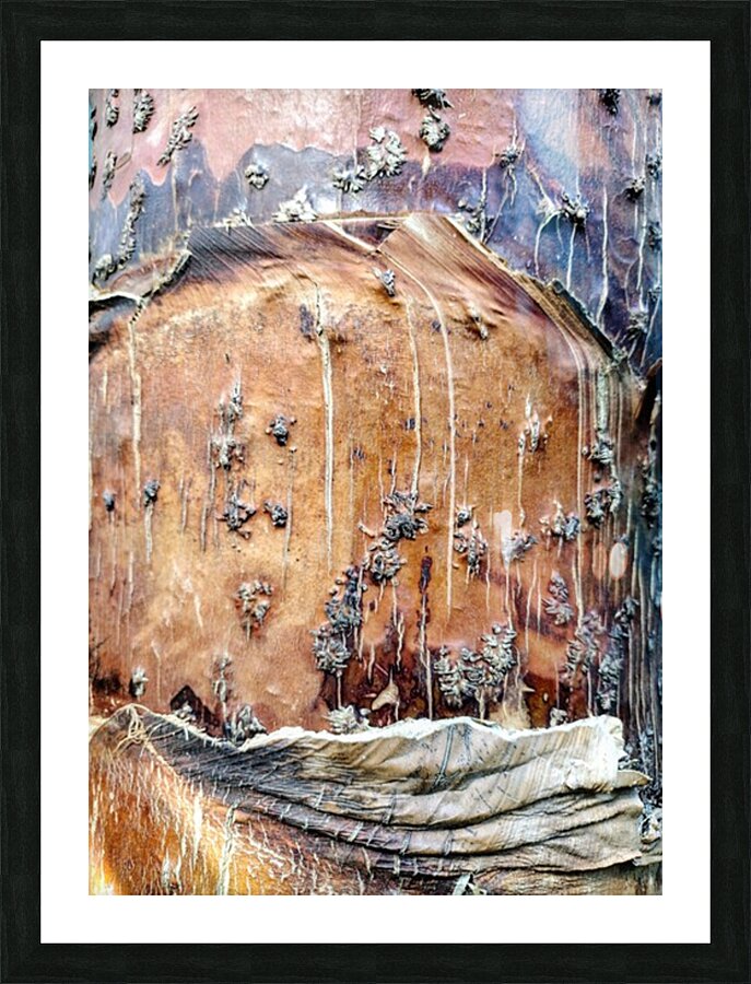 V14 Picture Frame print