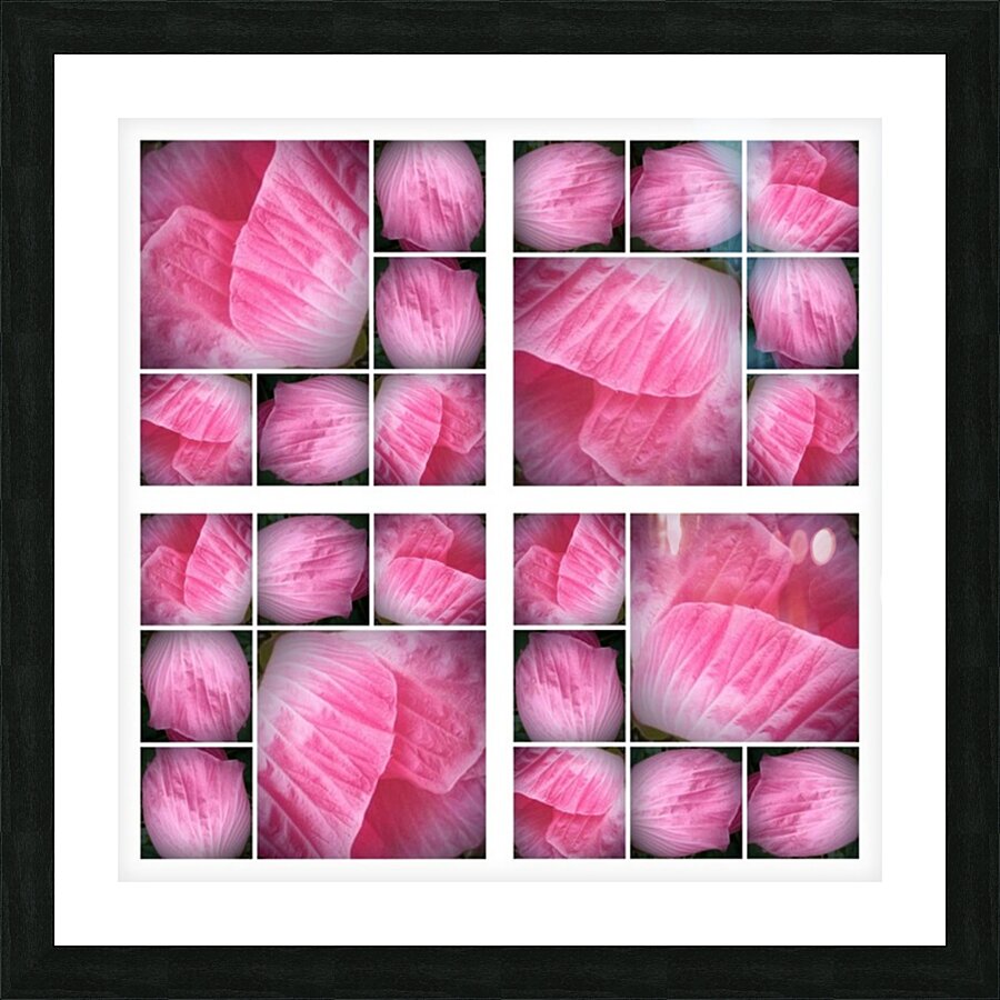 V21 Picture Frame print
