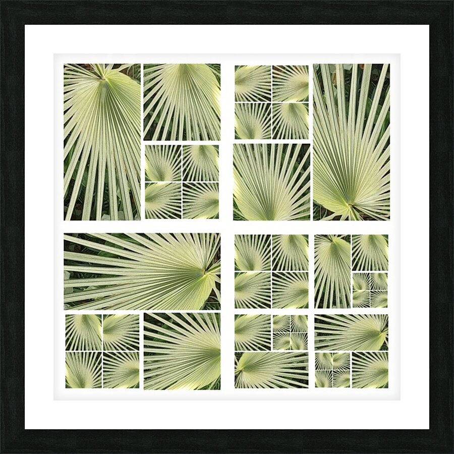 V27 Picture Frame print