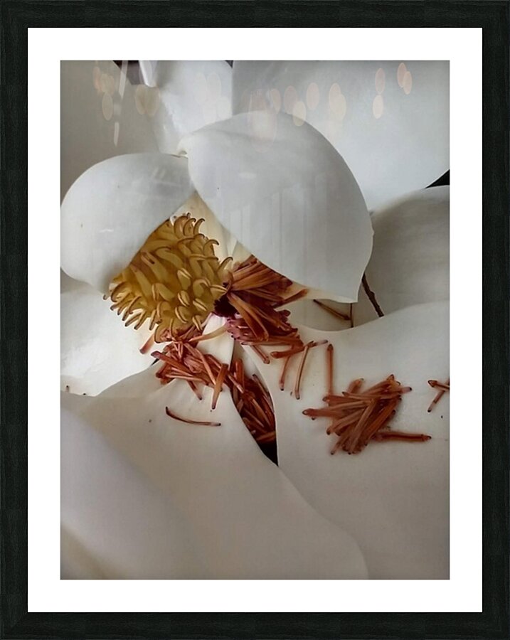 V32 Picture Frame print
