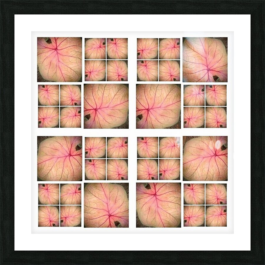V33 Picture Frame print
