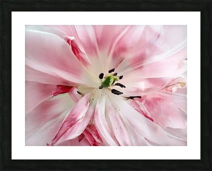V35 Picture Frame print