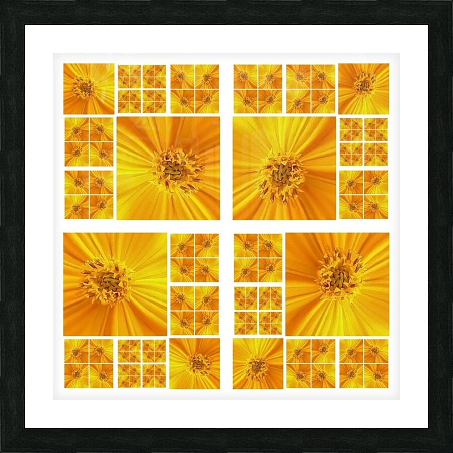 V36 Picture Frame print