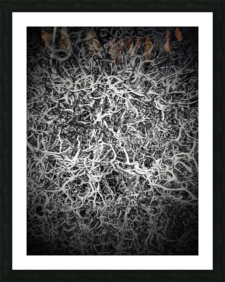 V39 Picture Frame print