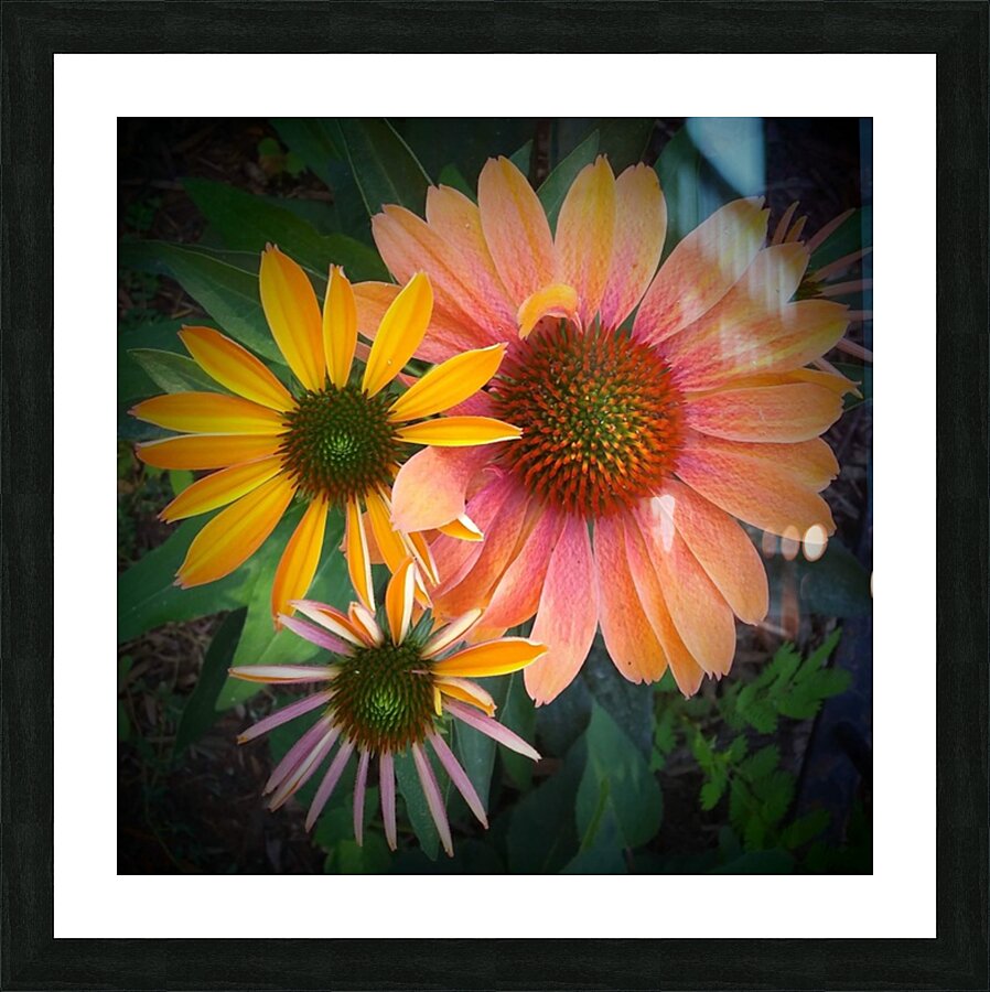V40 Picture Frame print