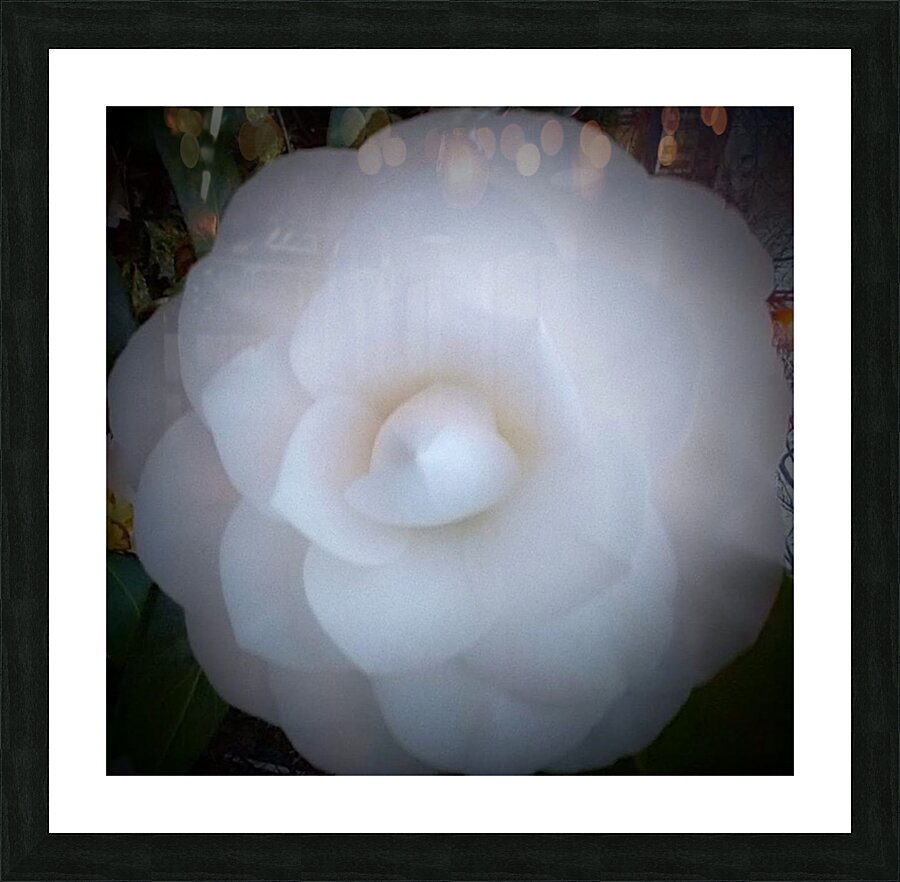 V42 Picture Frame print