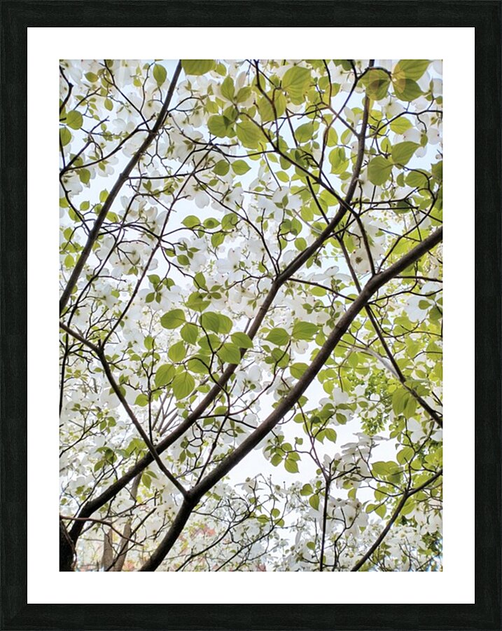 V43 Picture Frame print