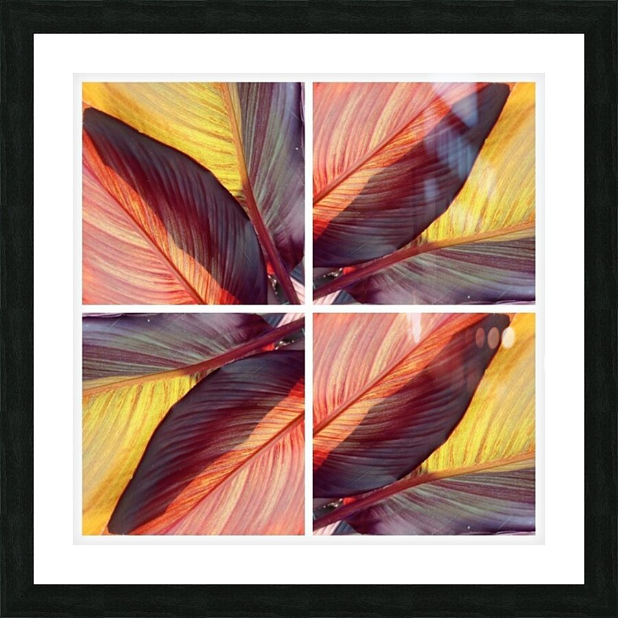 V44 Picture Frame print