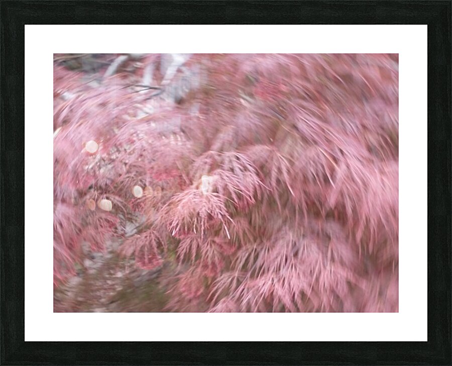 V45 Picture Frame print