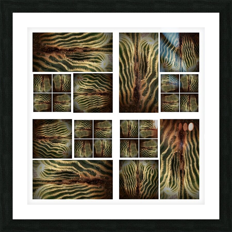 V48 Picture Frame print