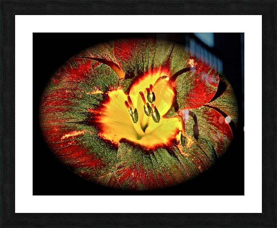 V50 Picture Frame print