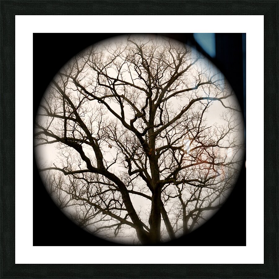 V51 Picture Frame print