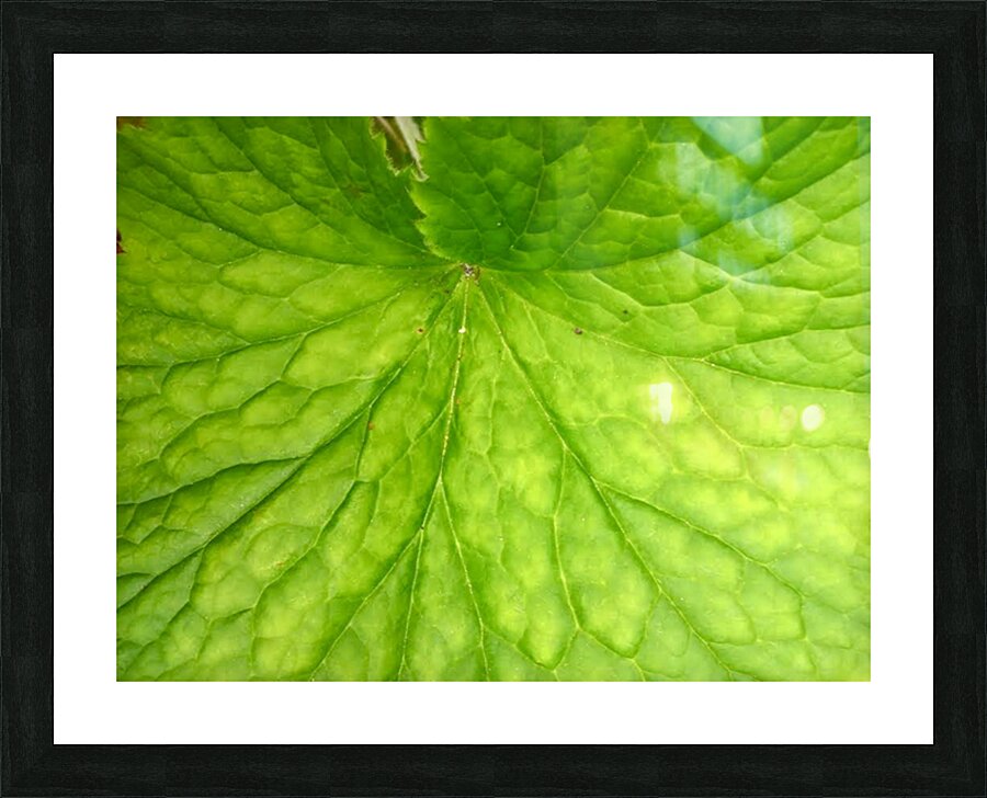 V54 Picture Frame print