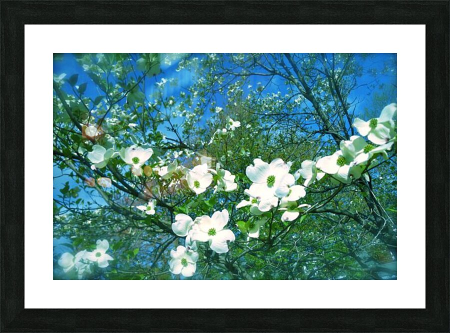 V55 Picture Frame print