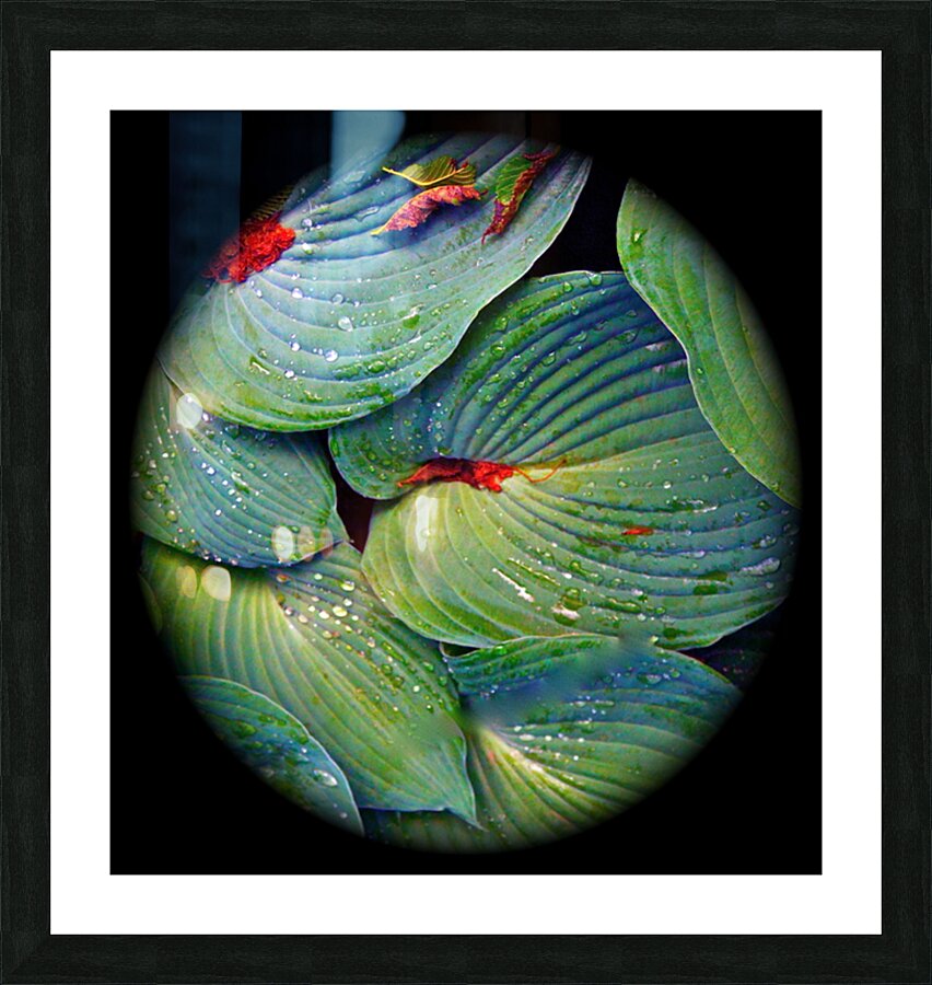 V57 Picture Frame print