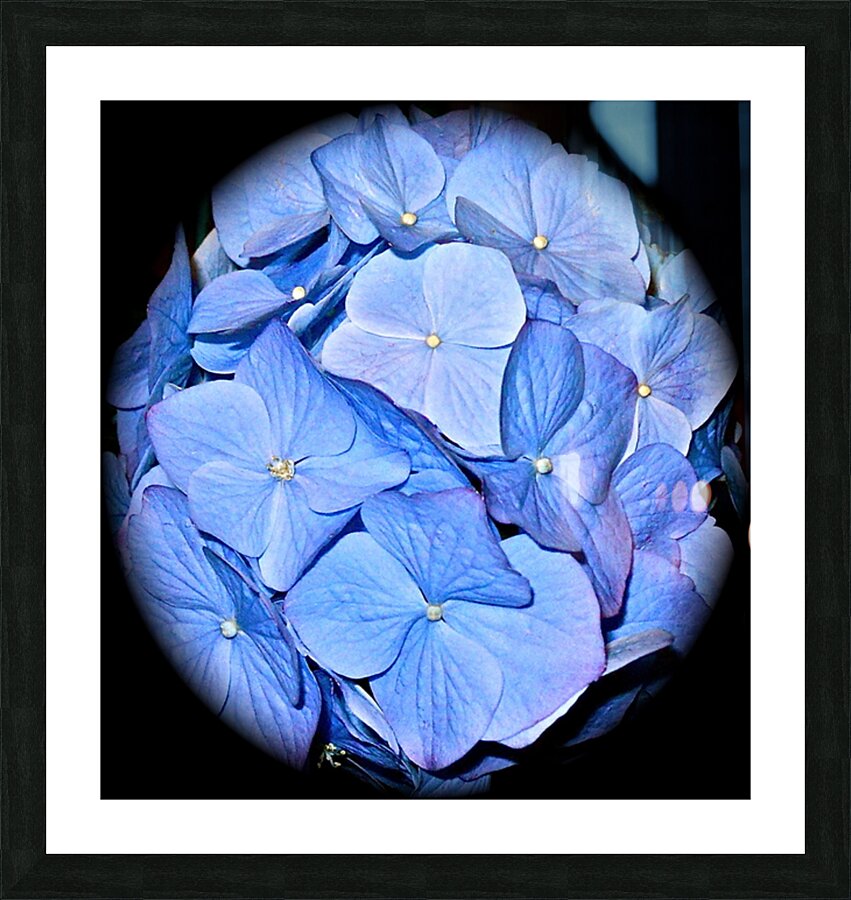 V58 Picture Frame print