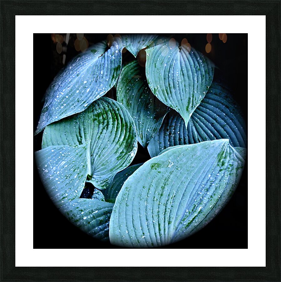 V59 Picture Frame print