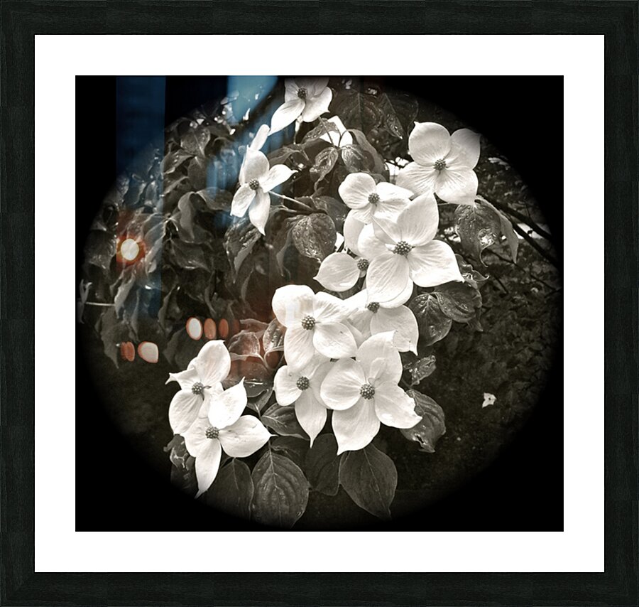 V61 Picture Frame print