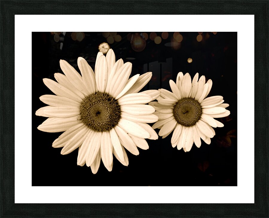 V62 Picture Frame print