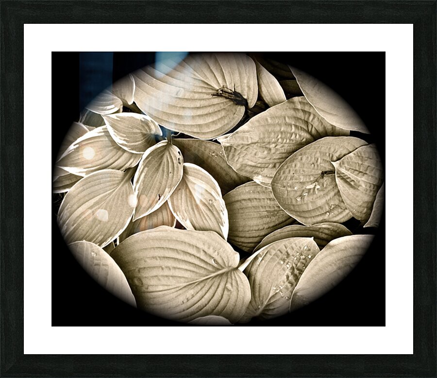 V63 Picture Frame print