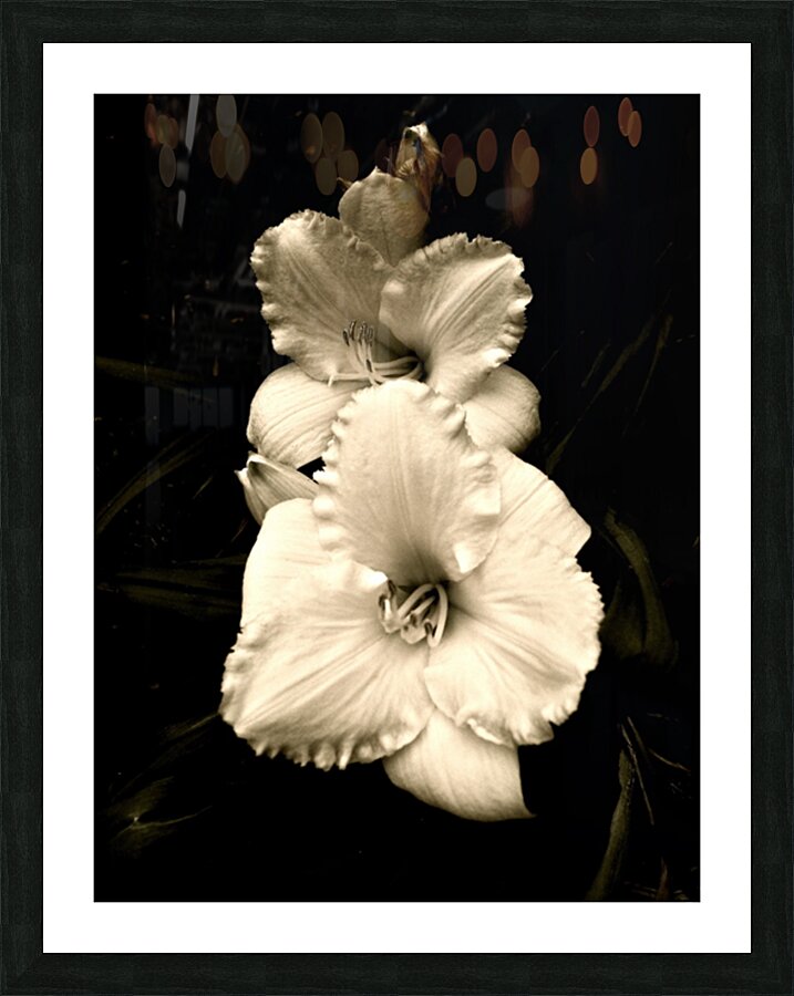 V64 Picture Frame print