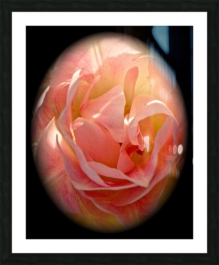V65 Picture Frame print