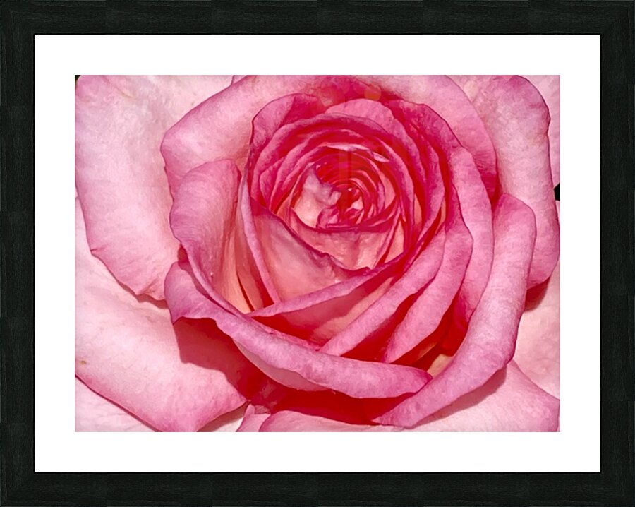 V67 Picture Frame print
