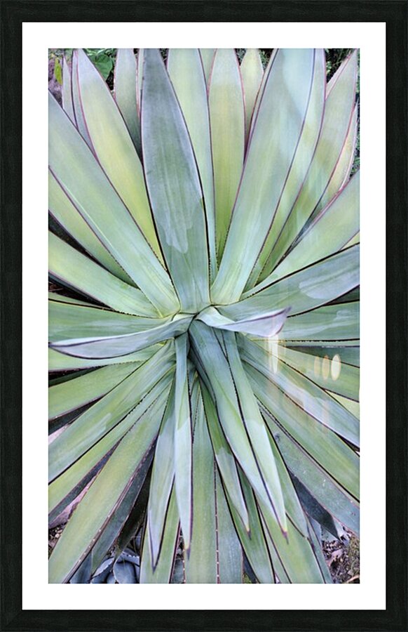 V68 Picture Frame print