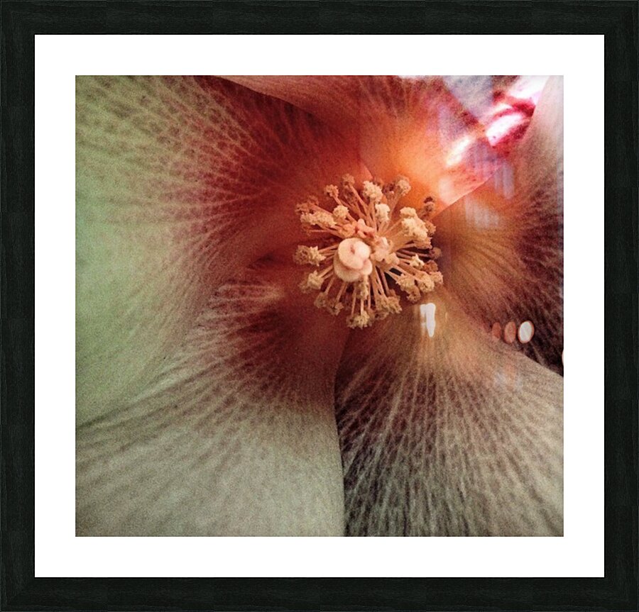 V70 Picture Frame print