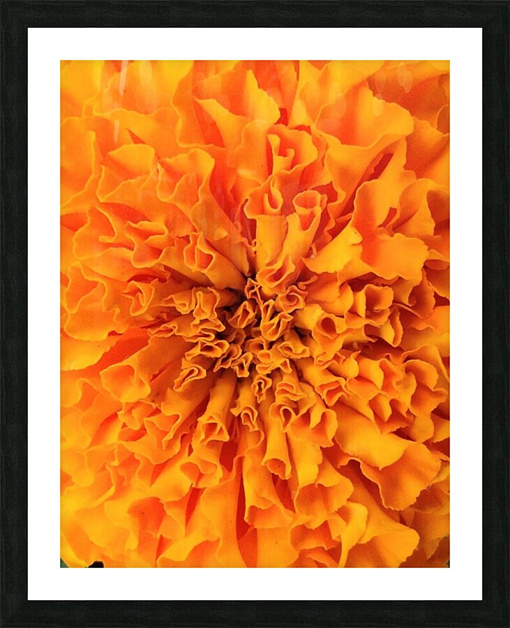 V71 Picture Frame print