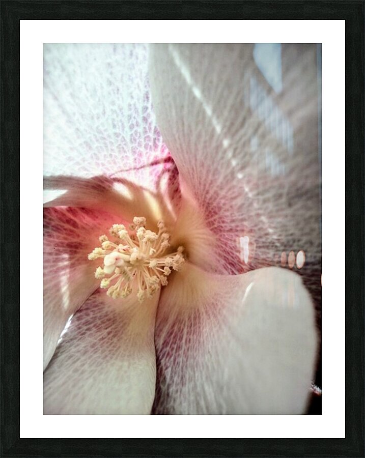 V72 Picture Frame print