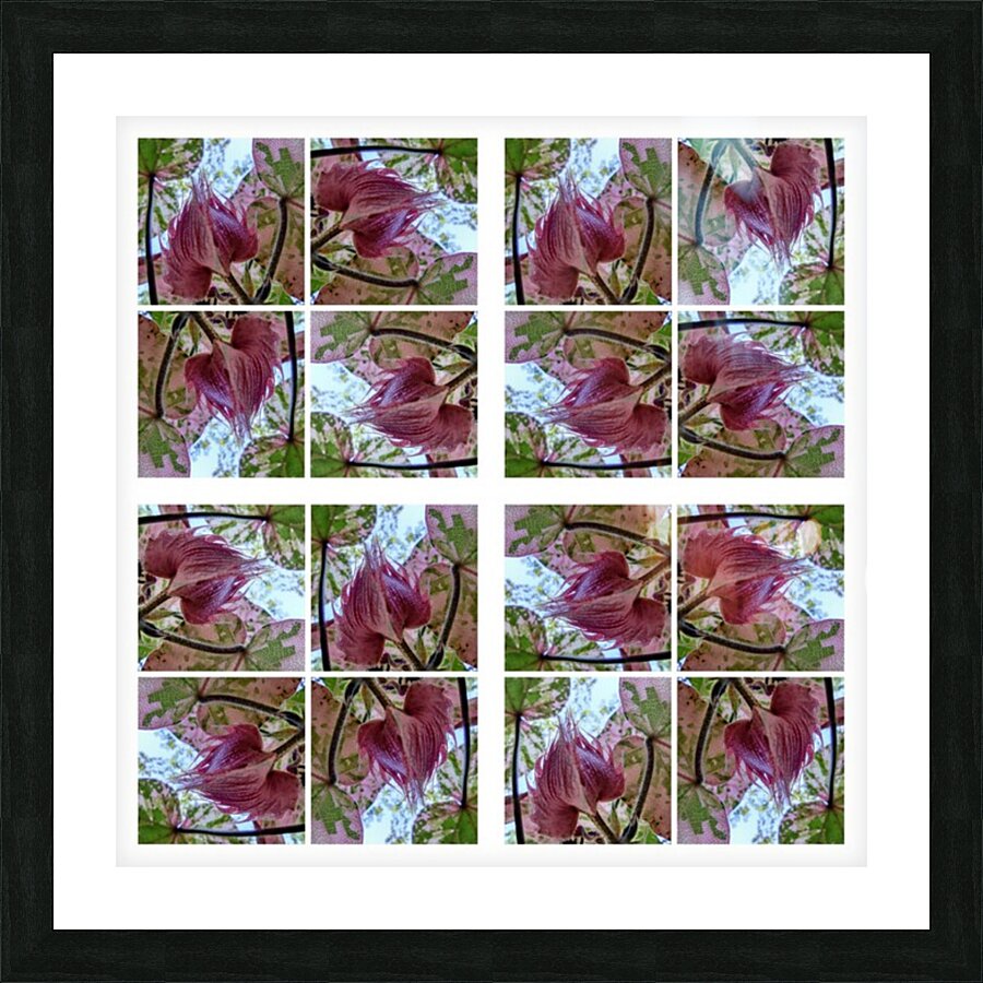 V74 Picture Frame print