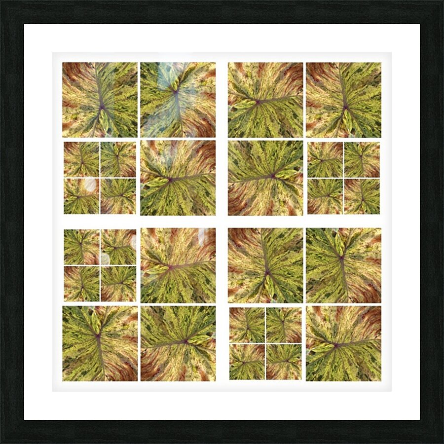 V87 Picture Frame print