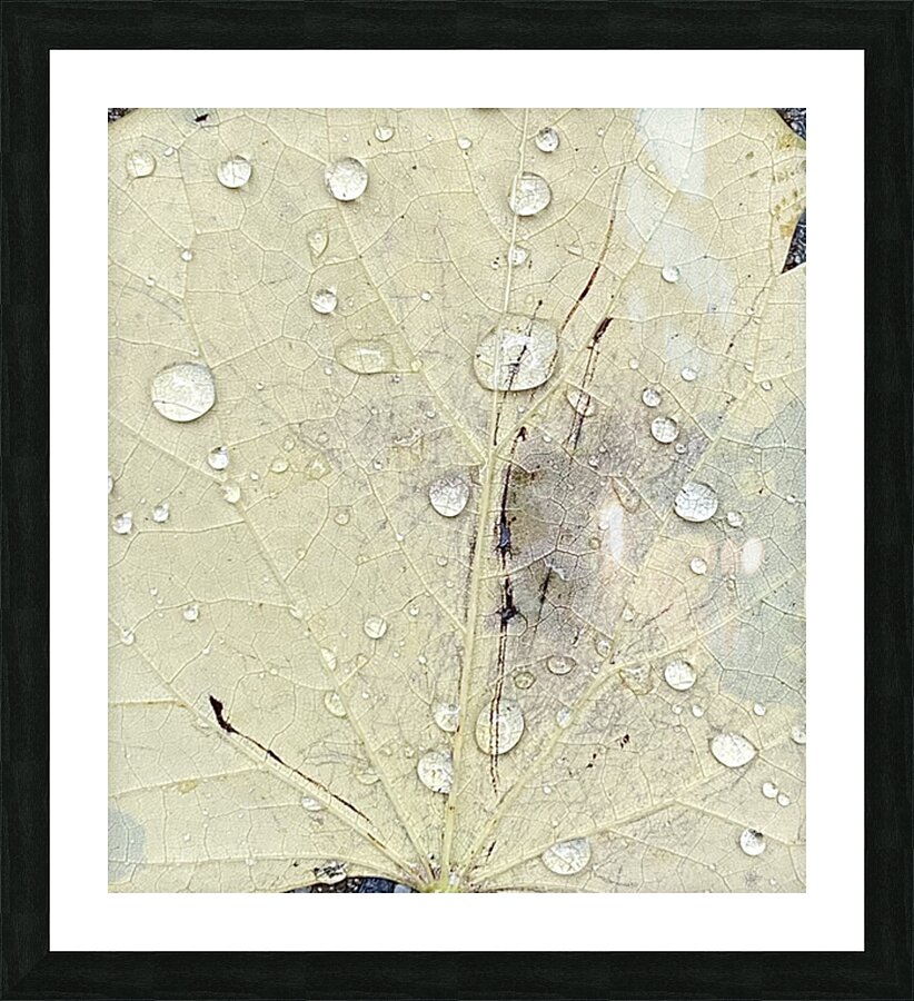 V88 Picture Frame print