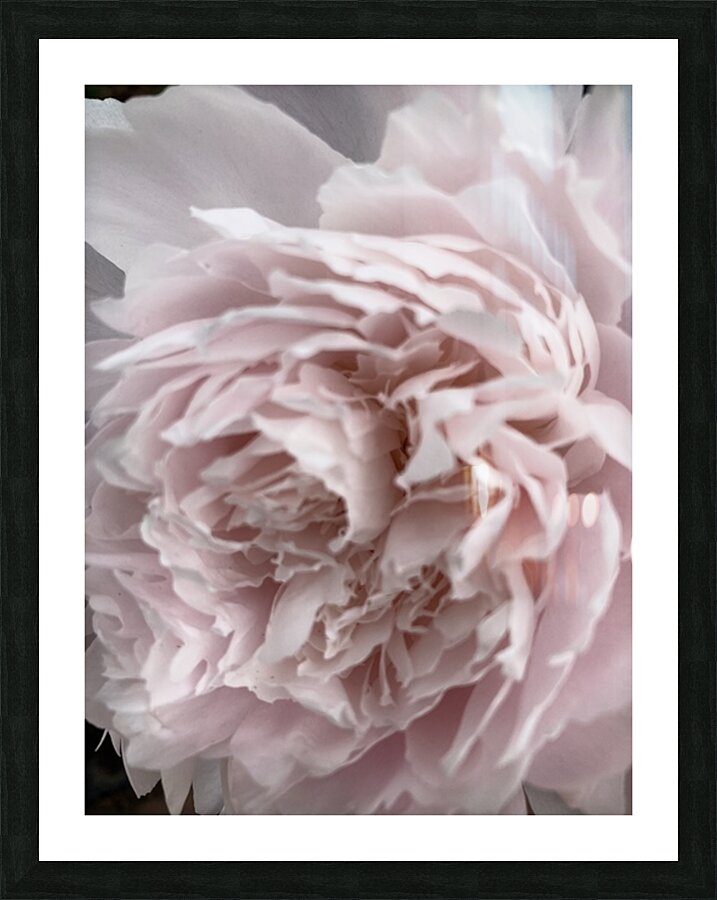 V90 Picture Frame print