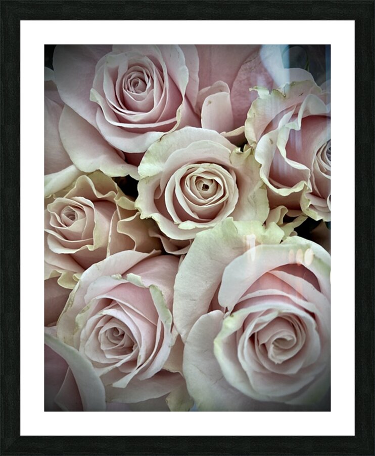 V92 Picture Frame print