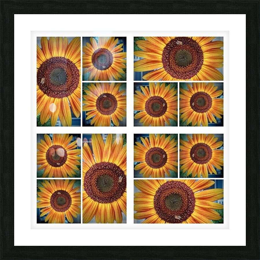 V95 Picture Frame print