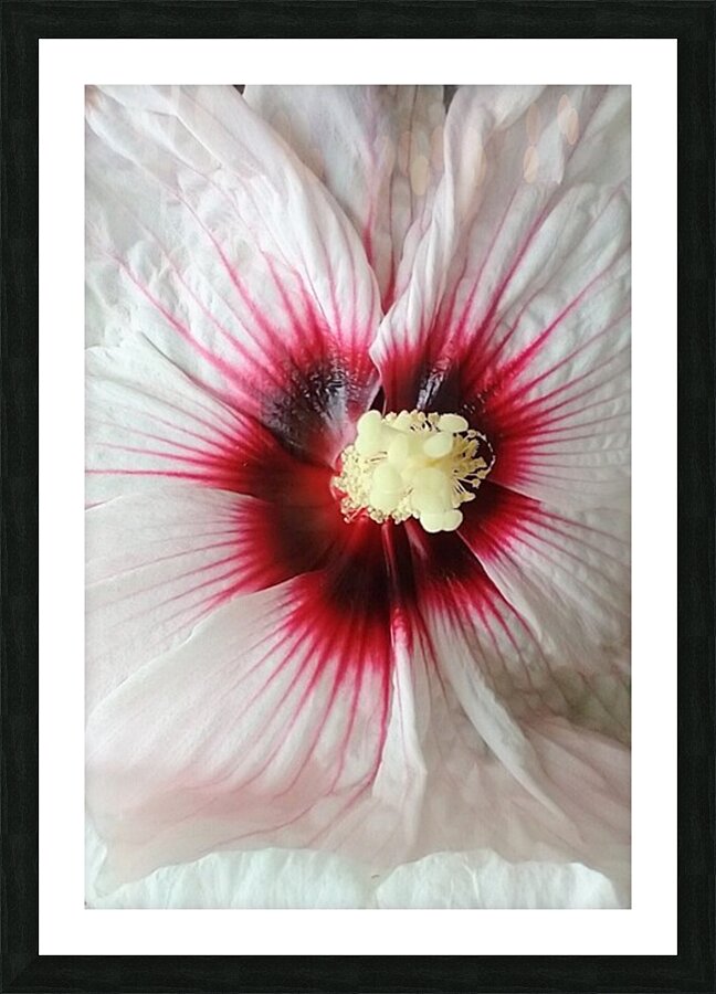 V96 Picture Frame print