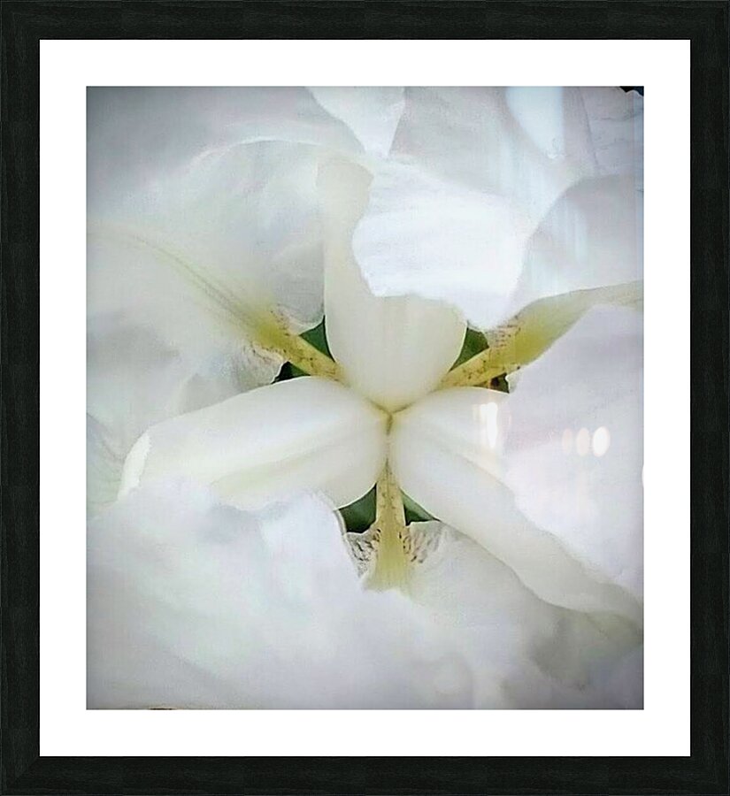 V98 Picture Frame print