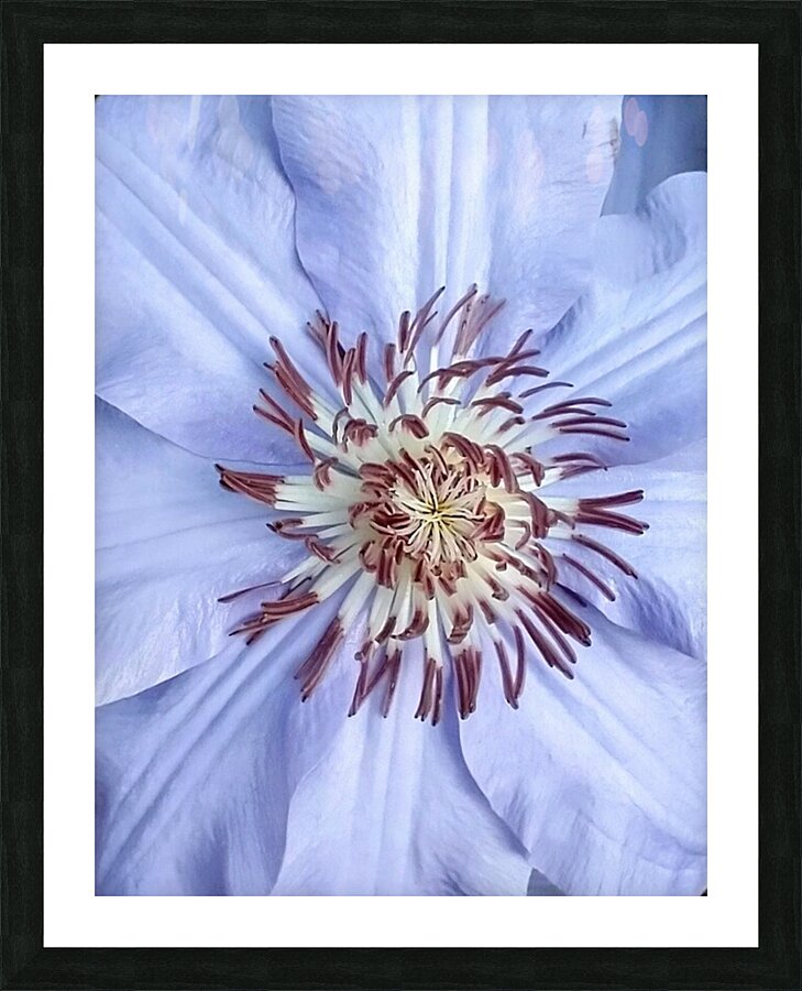 V119 Picture Frame print