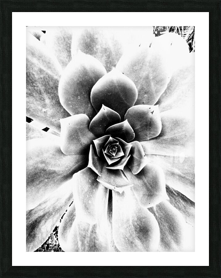 V124 Picture Frame print