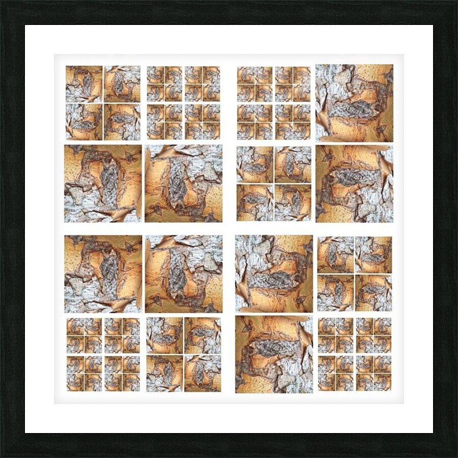 V126 Picture Frame print