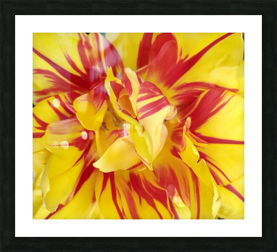 V128 Picture Frame print
