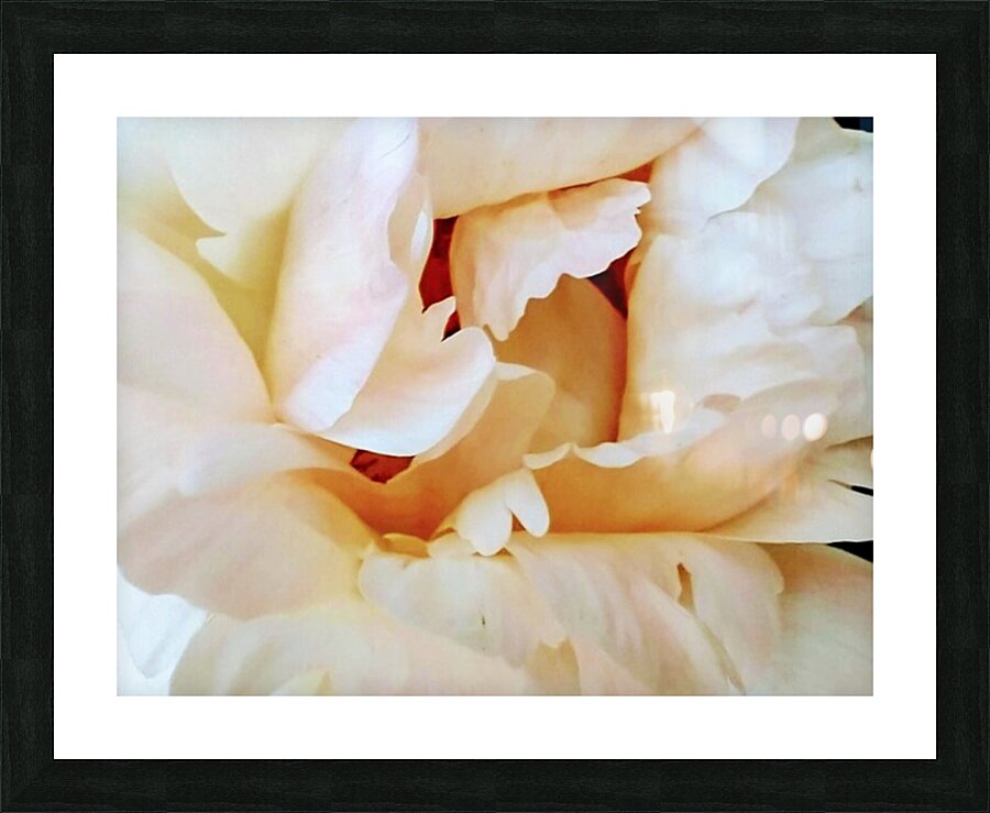 V129 Picture Frame print
