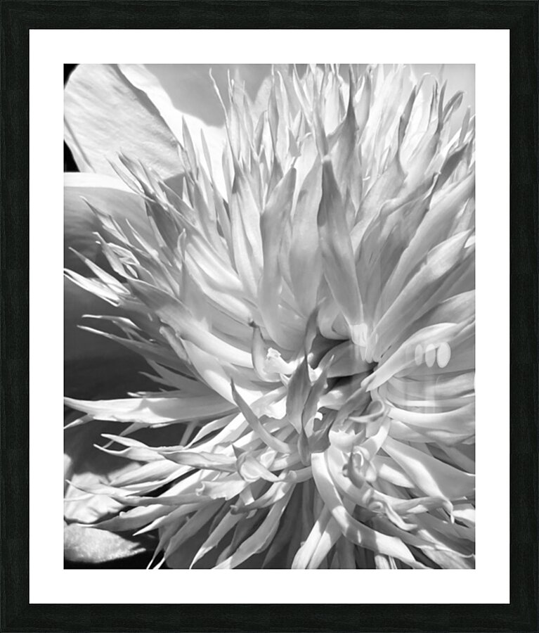 V133 Picture Frame print