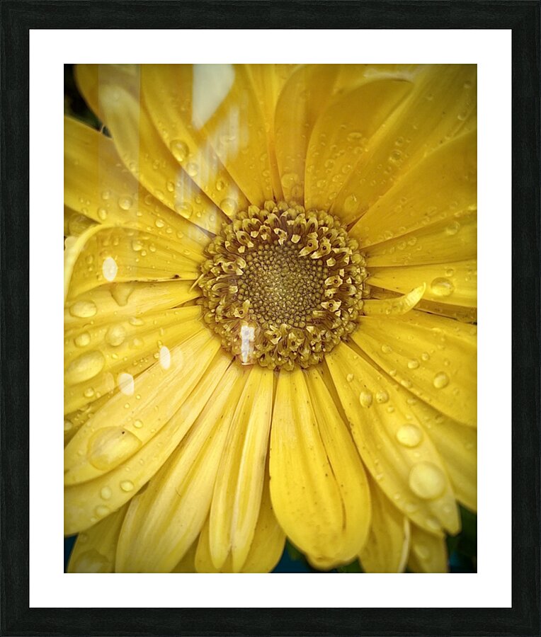 V137 Picture Frame print